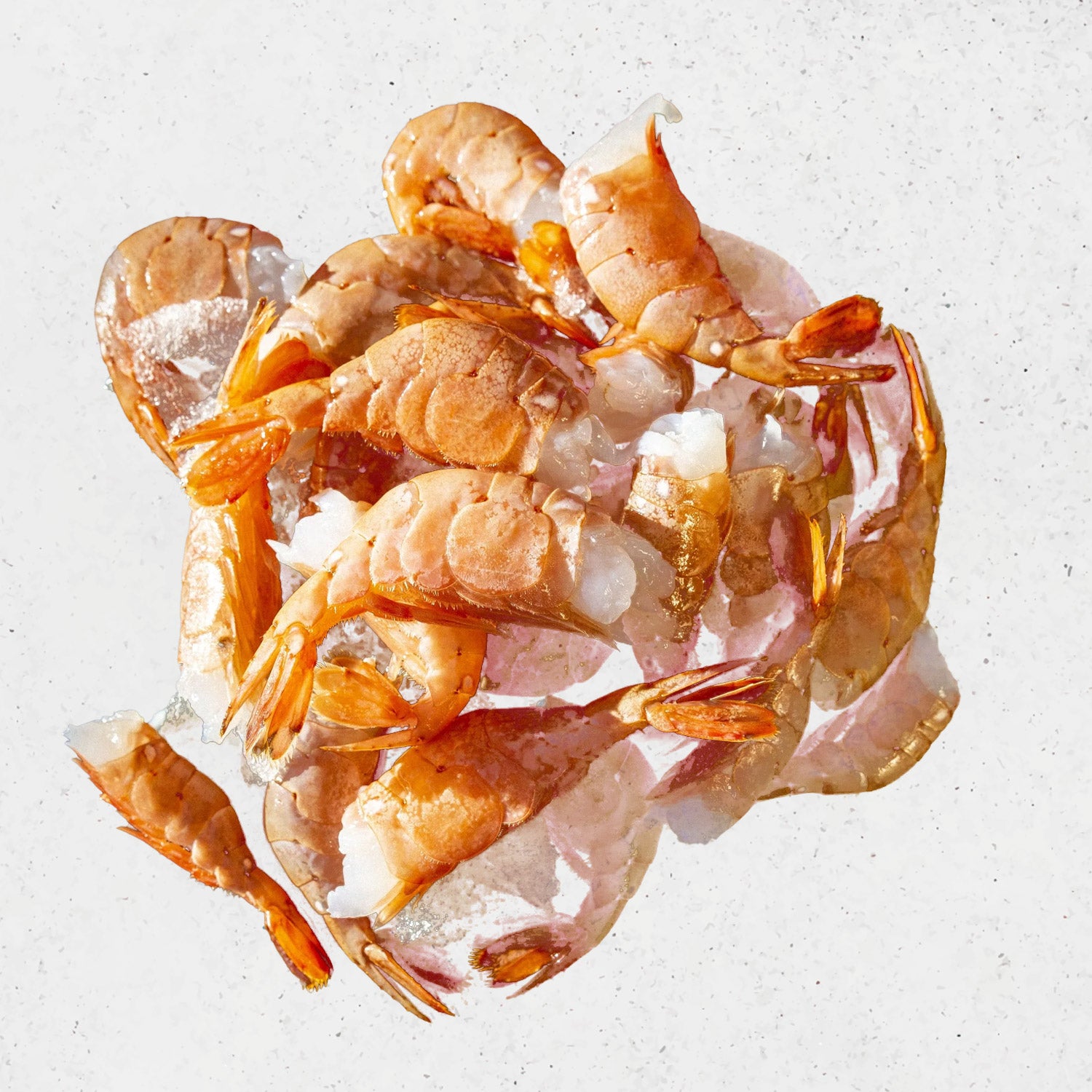 Assorted holiday foods including a roasted turkey, oysters, and various meats on a wooden table. DishTheFish Eaters Market Beef Pork Chicken Sausage Lollipop Chorizo Wild Sockeye Salmon Spot Prawns Hyogo Oysters Turkey