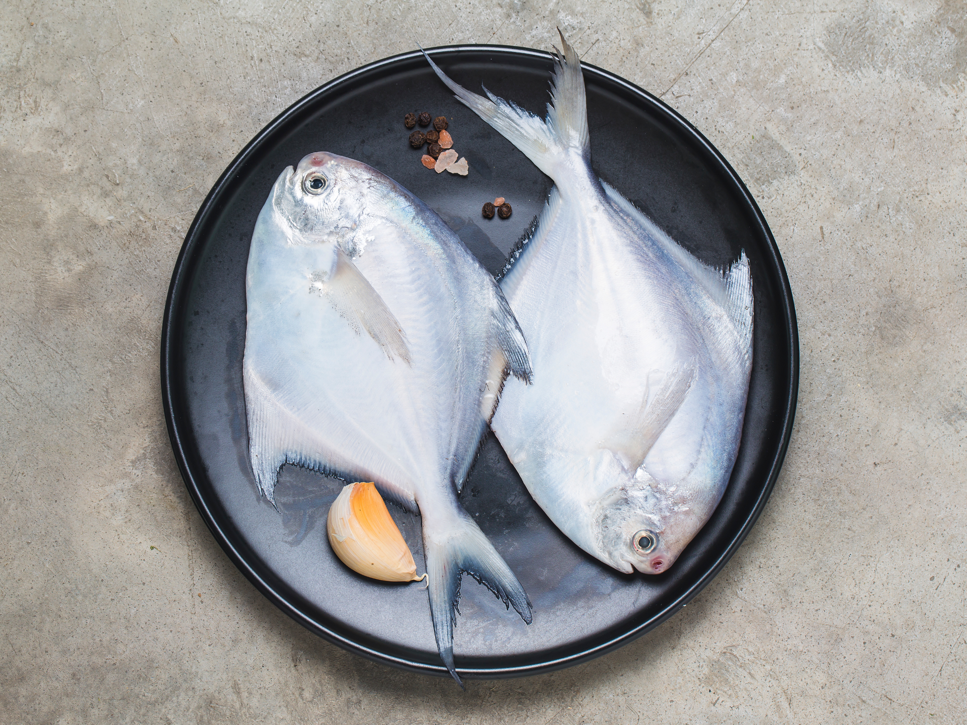 Wild Sustainable White Pomfret - Dishthefish line caught Indonesia Malaysia fresh catch steam fish omega 3 child cut 