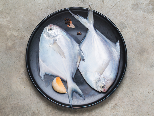 Wild Sustainable White Pomfret - Dishthefish line caught Indonesia Malaysia fresh catch steam fish omega 3 child cut 