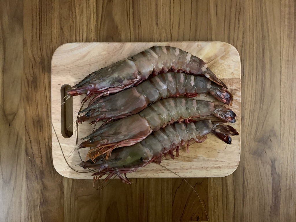 Dish The Fish A Great Fish Makes The Dish 渔民 Sabah Malaysia Antioxidant Antiageing detoxification appetizing no chemical addictives natural organic fresh seafood online delivery white prawns red shell prawns wild caught net line online delivery market 小白虾 沙巴 马来西亚 野生 手工 paste ball steamboat fry grill bake bouncy juicy cuttlefish paste ceh mak 鱿鱼 浆 Jumbo Tiger Prawns 九褶虾