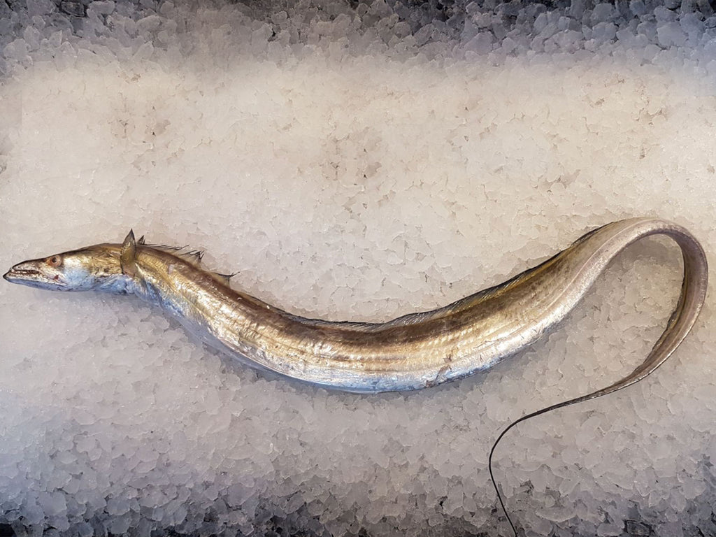 Wild Sustainable Yellow Ribbonfish / Largehead Hairtail (Huang Dai Yu) 黄带鱼  (About 1.5kg)