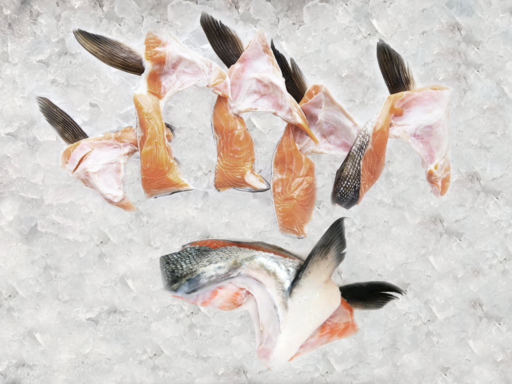 DishTheFish A Great Fish Makes The Dish Singapore Fishmonger Market Online Delivery Child Pack Omega Collagen Fresh Fish Bones Threadin Red Snapper Grouper Wild Caught Child Pack Cube 新加坡 上汤 纯鱼骨 小孩包装 鲜鱼 午鱼 石斑骨 鱼片汤 fish slices 网购 渔民 MSG and Salt-free Pure Fish Bone Broth (2 packs) - Dishthefish Golden Liquid Wild Skeena Keta Organic Ocean Fresh Fillet Salmon  Broth Sustainable Keta Pink Salmon Steaks Tails Sustainable Wild Caught Line Caught collars