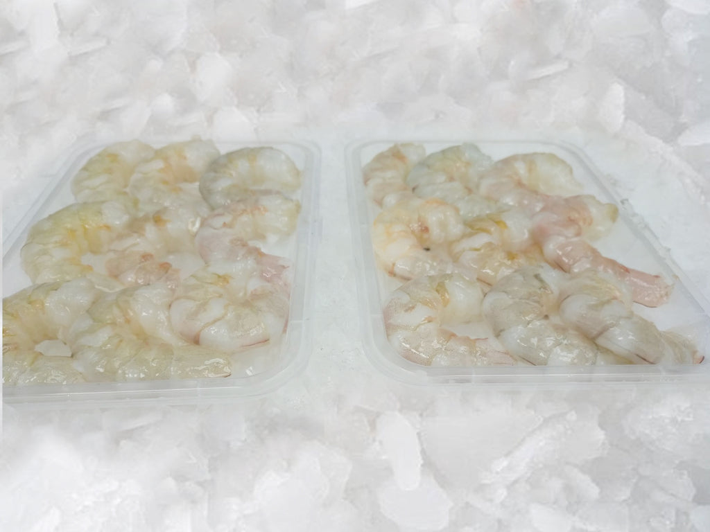a White (Ang Kar) Prawns (medium size, 500g) - Dishthefish Fresh Wild Caught Sea White Prawns Indonesia Grilled Steamed Hotpot Steamboat Online delivery Singapore Peeled Without Chemical shells 