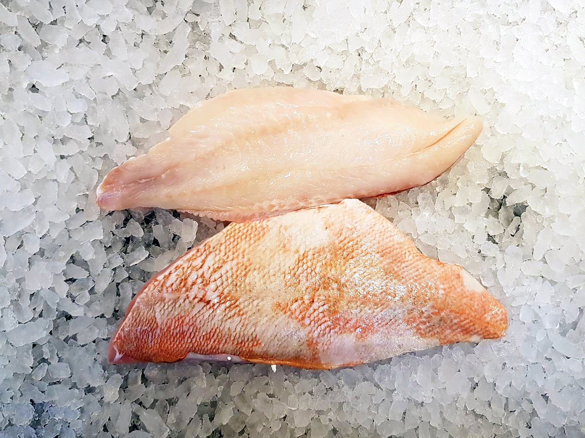 Fillets – Dish The Fish