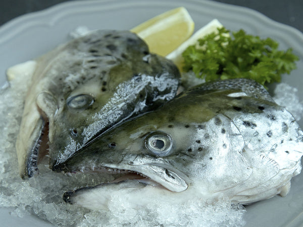 Norwegian Salmon Head - Dishthefish