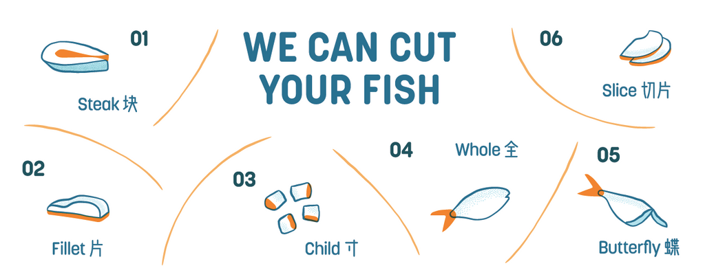 Dishthefish The New Age Fishmonger Pacific Halibut Fresh Fish Seafood Online Delivery Sustainable Wild Caught Responsibly Harvested Line Caught Vancouver British Columbia Canada Fillet Boneless Child cut Steam Grill Bake Fr