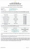 Wild Cod/ Chilean Seabass Fish Slices (about 100g) - Dishthefish DishTheFish Chilean Seabass Patagonian Toothfish Codfish Child Cut Australia Sustainable Wild Caught Line Hooked Slices Soup Grill Bake Online Delivery Singapore MSC Marine Stewardship Council (2400x1800) 