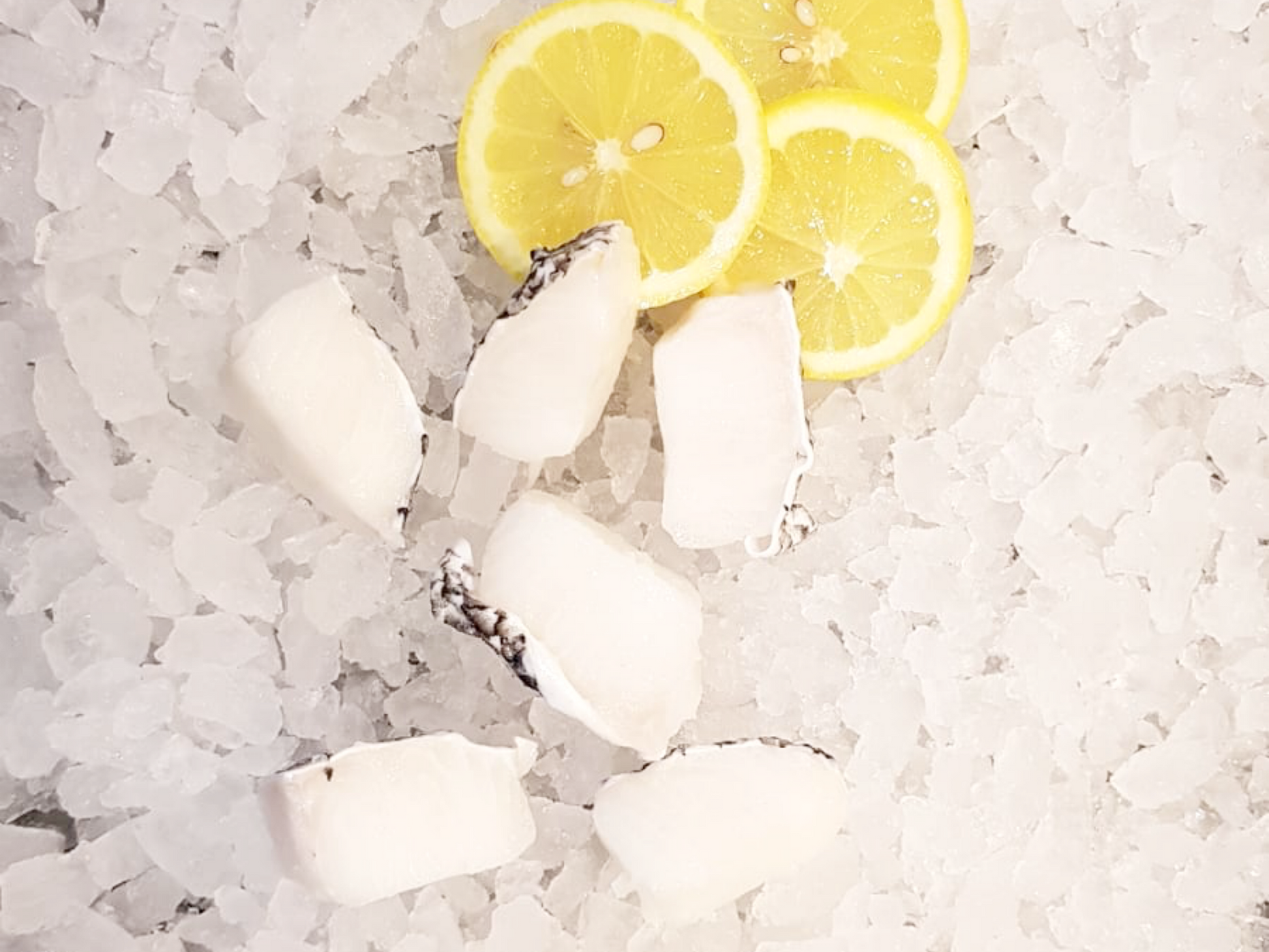 Wild Cod/ Chilean Seabass Fish Fillet (about 300-350g) - Dishthefish DishTheFish Chilean Seabass Patagonian Toothfish Codfish Child Cut Australia Sustainable Wild Caught Line Hooked Slices Soup Grill Bake Online Delivery Singapore MSC Marine Stewardship Council (2400x1800) 