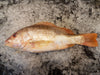 Big Snapper - Dishthefish