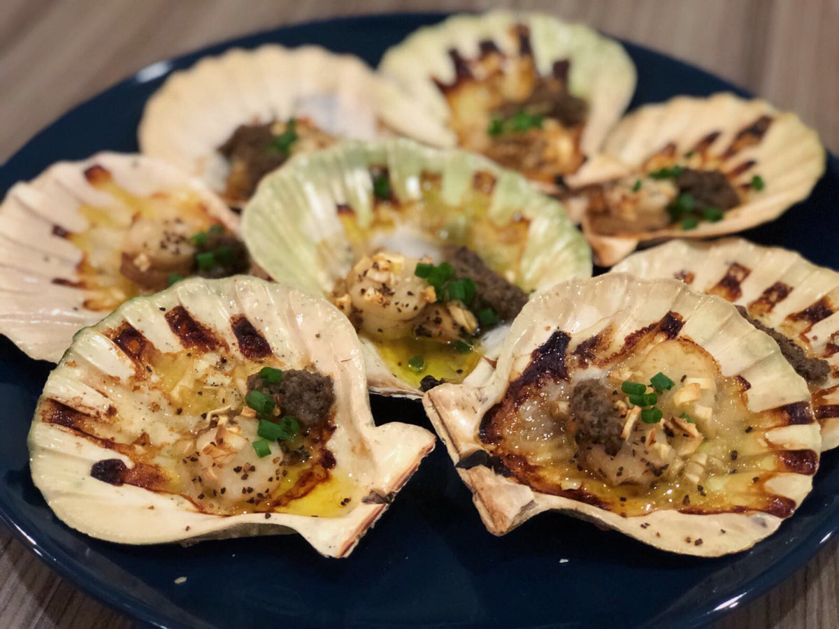 Scallops Shell Out Wild Half Shell Scallops – Dish The Fish