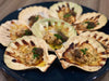 live chilled whole shell scallops fresh fish prawns shellfish fishmonger dishthefish the new age fishmonger market online delivery singapore 