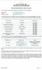 Cod Fish/ Chilean Seabass Bones (about 500g) - Dishthefish