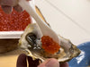 Effingham oysters Vancouver Singapore fresh fish seafood shellfish direct delivery DishTheFish live sashimi grade 