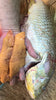 Dishthefish The New Age Fishmonger  Wild Caught Longhead Grunt 石鲈鱼 fresh fish third generation fishmonger singapore fresh seafood supplier singapore 新加坡 渔民 石鲈鱼 巴来 印尼 野生 海抓 鱼片 真空包 鱻 新鲜 鲜鱼 海鲜 天然 自然 海洋 鱼蛋 fish roe 