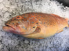 Wild Big Red Grouper (about 3kg) - Dishthefish