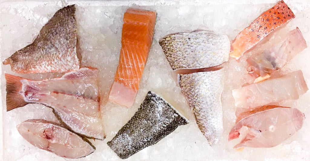 Fillet Bag - Dishthefish