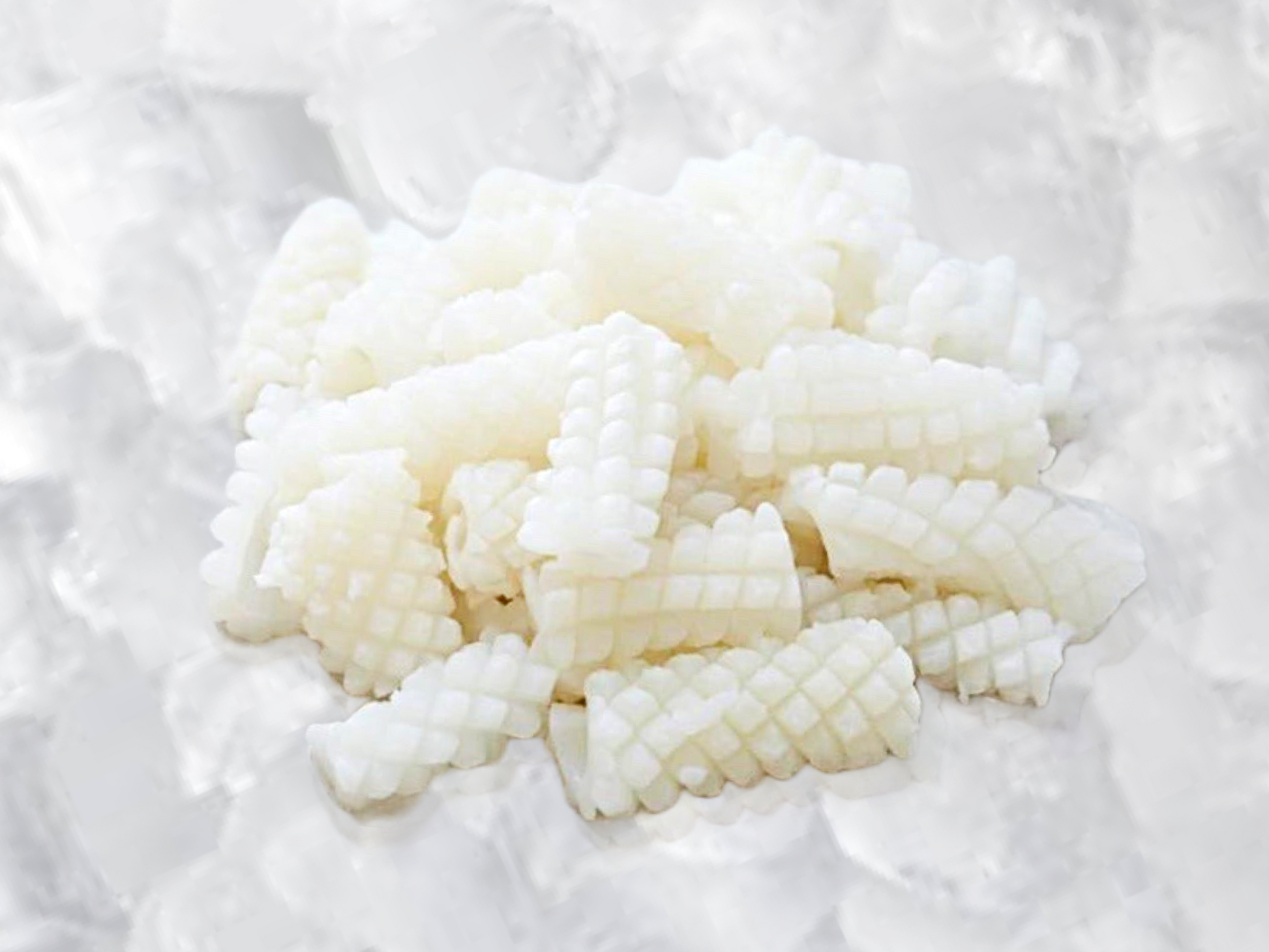 Wild Squid (Sotong) (about 600g) - Dish The Fish