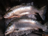 Whole Norwegian Salmon (about 5kg) - Dishthefish