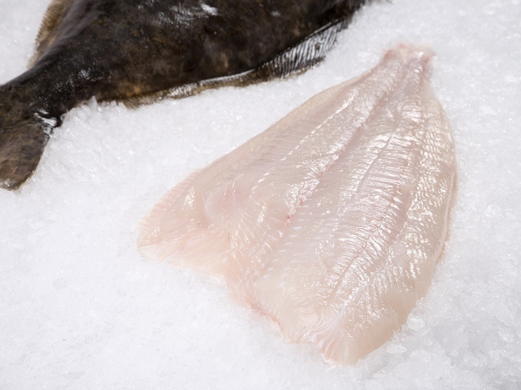 Dishthefish The New Age Fishmonger Pacific Halibut Fresh Fish Seafood Online Delivery Sustainable Wild Caught Responsibly Harvested Line Caught Vancouver British Columbia Canada Fillet Boneless Child cut Steam Grill Bake Fry 加拿大 比目鱼 烤鱼 新鲜 鲜鱼 无骨 小孩 鱼片 蒸鱼 新加坡 鱼饭 巴剎 网购 送鱼 大西洋 比目鱼