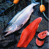 Norwegian Salmon Head - Dishthefish king salmon head vancouver wild caught line hooked winter harbour