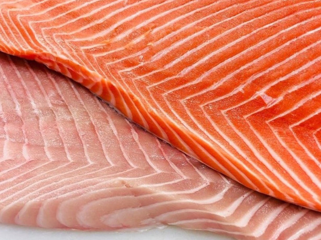 dishthefish the new age fishmonger wild caught king salmon red ivory fresh fish seafood home delivery wet market singapore fillet steak child cut vacuum pack next day delivery boneless 新加坡 野生三文鱼 小孩子 无骨 加拿大 网购 鱼片 鱼片汤 海抓 送货上门 新鲜 渔民 新加坡 巴刹