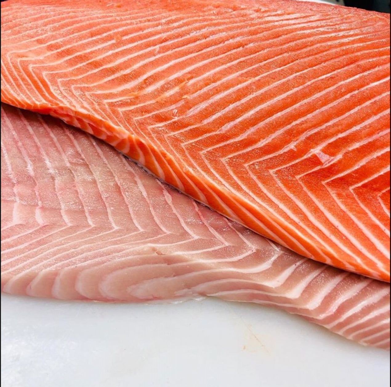 Wild Fresh King Salmon Fillet (about 500g) *Limited to season only