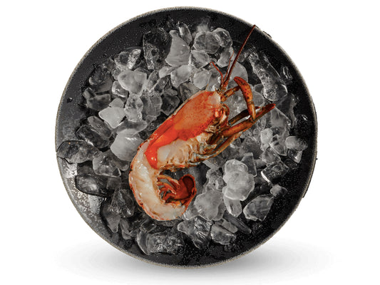 Dish The Fish Singapore Wild Caught Sustainable Ethical Organic Ocean Half Split Atlantic Lobster high pressure processing (HPP) method Lobster Claws MSC Marine Stewardship Council half tail, claw and knuckle meat within half body shell Nova Scotia British Columbia Ethically harvested