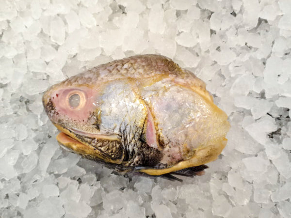 Wild Balai Threadfin Head (about 1kg) - Dishthefish Sustainable Tanjung Balai Indonesia Online Delivery Singapore Fresh Fish Seafood 